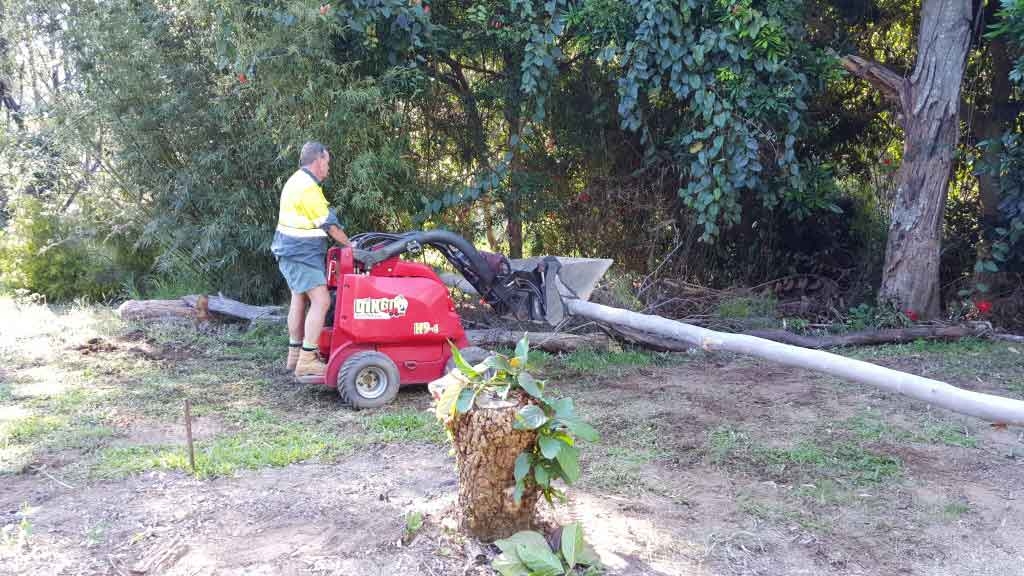 Sunshine Coast Hinterland rural and acreage excavation and earth moving services. Specialising in Sunshine Coast acreage clean ups. Gravel Driveway Repair, Burn Stacks, Earth Moving and Land Contouring, Certified Chainsaw Operator, Drains Cleared, Dingo Backhoe